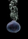 Single fig sinking in water isolated against black background Royalty Free Stock Photo