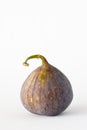 Single fresh fig on a white background. Royalty Free Stock Photo