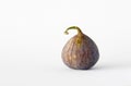 Single fresh fig on a white background. Royalty Free Stock Photo