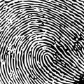 Single fingerprint