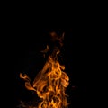 Single fire flame on black background
