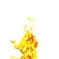 Single fire flame on white background