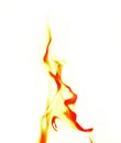 Single Fire flame on white background