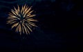 Single Firework Display Royalty Free Stock Photo