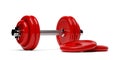 Single fitness gym dumbbell with chrome handle and red plates stack in front over white background, muscle exercise, bodybuilding