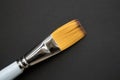 Single flat orange watercolor paint brush of soft fur