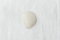 Single Flat Semi Circle Pure White Sea Shell on Linen Fabric Background. Minimalist Modern Styled Stock Photo Social Media Blog