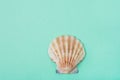 Single Flat Semi Circle Sea Shell on Turquoise Background. Minimalist Modern Style. Funky Trendy Colors. Template for Poster