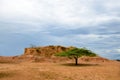 Single flat-top green tree in orange savanna terrain Royalty Free Stock Photo