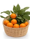 organic ripe mandarins in a basket on a white background by AI-generated Royalty Free Stock Photo