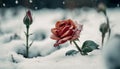 Single flower blossoms in the frosty winter forest landscape generated by AI