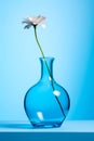 Single flower in blue vase on blue background. Generative AI Royalty Free Stock Photo