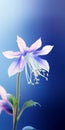 Minimalist Blue Columbine Mobile Wallpaper For Fancy And Hisense H9g