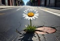 Single flower growing out of crack in urban road. Generative AI