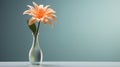 Single flower in a vase with minimalist background