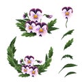 Single flowers, leaves, garland and a bouquet of pink pansies isolated on a white background.