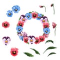 Single flowers, leaves, garland of colorful pansies isolated on a white background.