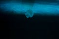 A single fluorescent jellyfish near the surface of the water. On dark background Blue jellyfish Royalty Free Stock Photo