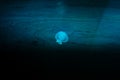 A single fluorescent jellyfish near the surface of the water. On dark background Blue jellyfish Royalty Free Stock Photo