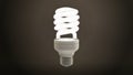 Single Fluorescent Light Bulb Over Dark Background