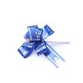 Single foldable tape bow isolated