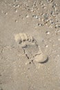 A single foot print imprinted on the sand beach, top view. Selective focus, one human foot step on sand with shells for Royalty Free Stock Photo