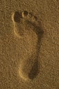 Single Footprint