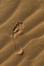 Single Footprint Of Bare Feet On Yellow Sand. Shiny Foot Imprint In Sand On The Beach In Summer.The Trace Of A Bare Left Foot On T