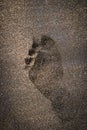 Single Footprint on Brown Beach Sand Royalty Free Stock Photo