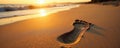 Single footprint etched in beach sand at dawn, vintage effect , idyllic, trace, texture Royalty Free Stock Photo