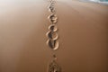 A single footprint fading on the wet sand Royalty Free Stock Photo