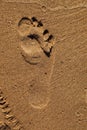 A single footprint imprinted in the sand on the beach. Footprint on the sand beach. Texture background Royalty Free Stock Photo