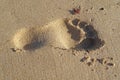 Single footprint in the sand Royalty Free Stock Photo