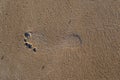 Single Footprint in sand at the Beach Royalty Free Stock Photo