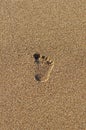 Single footprint in the sand Royalty Free Stock Photo
