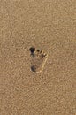 Single footprint in the sand