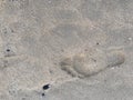 Single footprint on wet beach sand Royalty Free Stock Photo