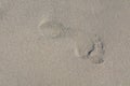 Single footprint on wet beach sand Royalty Free Stock Photo