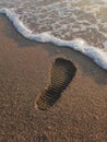Single Footprint in Wet Sand by Ocean Waves under Warm Sunlight Royalty Free Stock Photo