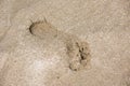 Single footstep at the sand