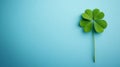 A Single Four Leaf Clover On Blue Background Royalty Free Stock Photo