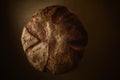 single french loaf bread isolated on organic background