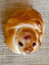 Single fresh baked raisin bun. Close-up, vertical photograph Royalty Free Stock Photo