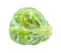 Single fresh brussels sprout isolated on white Royalty Free Stock Photo