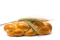 Single fresh bun and ear of wheat Royalty Free Stock Photo