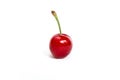 Single fresh cherry Royalty Free Stock Photo