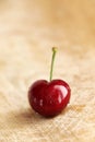 A single fresh cherry, pop colours Royalty Free Stock Photo