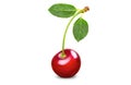 Single fresh cherry with two leaves Royalty Free Stock Photo