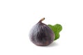 Single fresh fig with leave isolated on white background. Clipping path Royalty Free Stock Photo