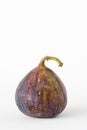 Single fresh fig on a white background. Royalty Free Stock Photo